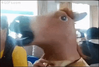 Horse Mask GIF