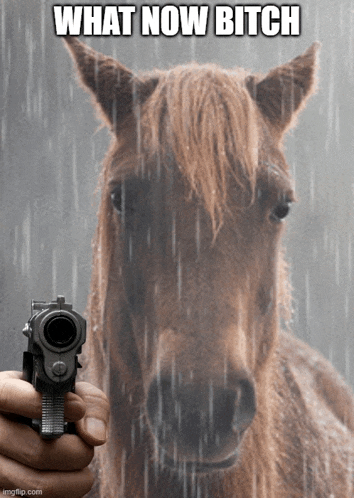 Horse Meme