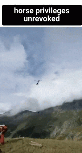 Horse Privileges Unrevoked Helicopter GIF