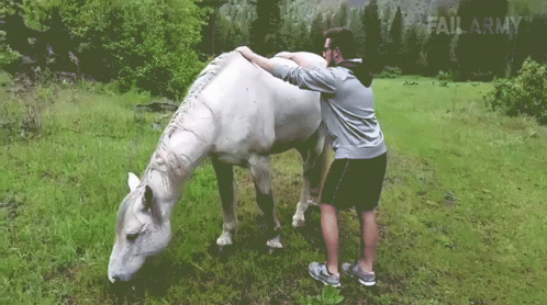 Horse Ride Ouch GIF. This 498 x 278 animated GIF is part of our horse kick collection. Created by failarmy. View the original animation, share it, or browse…