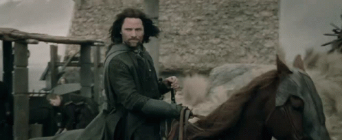 Horse Riding Survey GIF