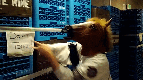 Horse Touch GIF