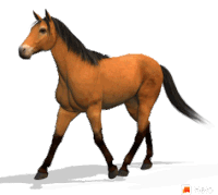 Horse Sticker
