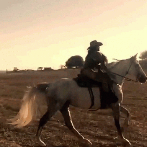 Horseback Riding Lux Lyall GIF. This 498 x 498 animated GIF is part of our stick figure horse collection. Created by luxlyall. View the original animation…