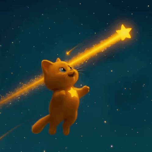 Hosico Stars GIF