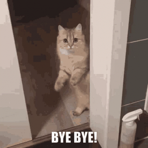 Hospital Hello GIF