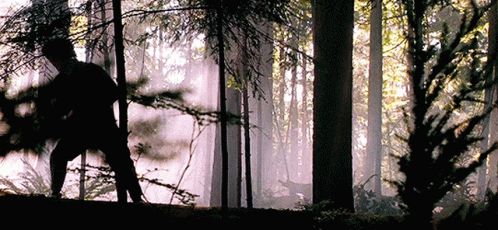Hot Rod Movie GIF