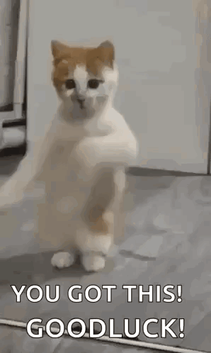 Hottie Dancing GIF. This 298 x 498 animated GIF is part of our best collection. Related themes include dancing, excited, happy dance. Created by Mefju1948…