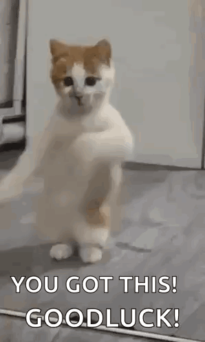 Hottie Dancing GIF