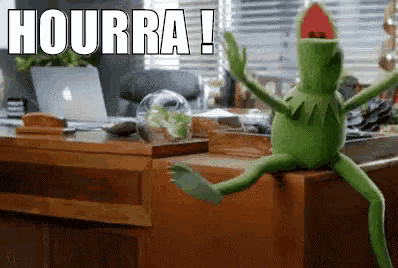 Hourra GIF