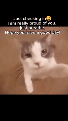 How Are You How Are You Doing GIF