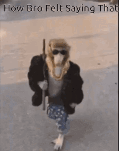 How Bro Felt After Saying That Monkey GIF