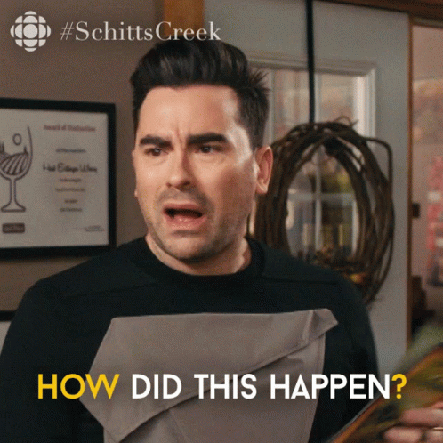 How Did This Happen David Rose GIF