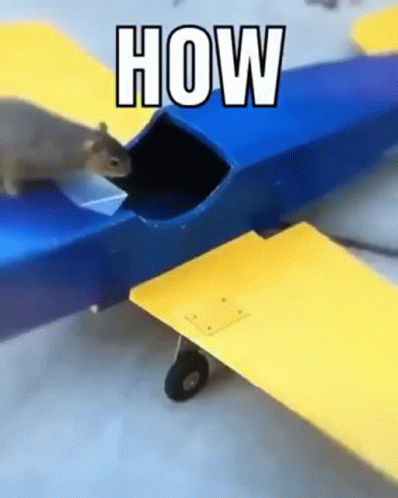 How Squirrel Flying GIF. This 398 x 498 animated GIF is part of our funny airplane collection. Related themes include funny, how. Created by DoctorPatel…