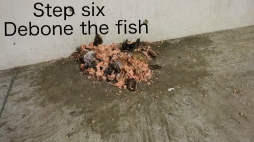 How To Basic Egg GIF