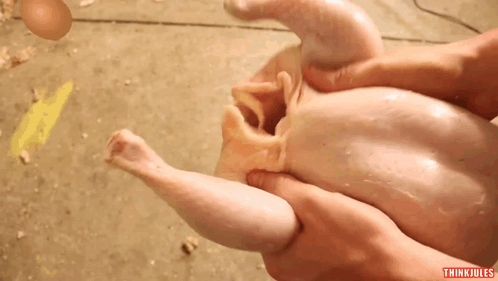 How To Basic Egg GIF