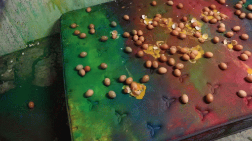 How To Basic How To Clean A Stained Mattress GIF