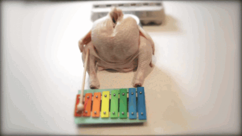 How To Basic Xylophone GIF