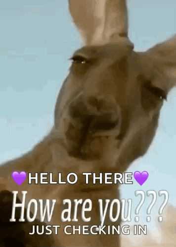 Howareyou Sup GIF