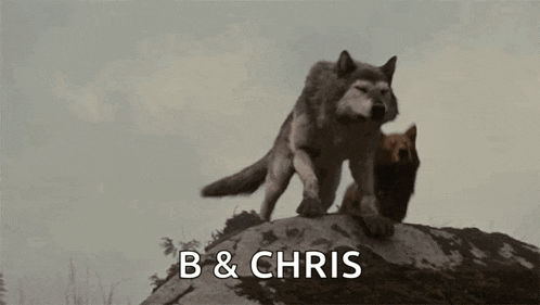 Howl Breaking Dawn GIF