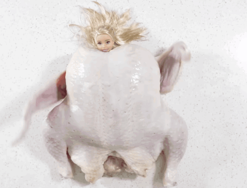 Howtobasic Barbie GIF
