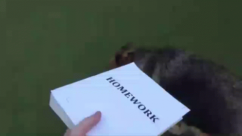 Howtobasic Homework GIF