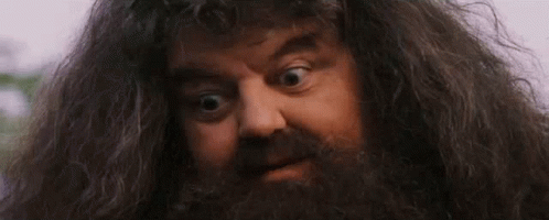 Hp GIF. This 498 x 200 animated GIF is part of our hagrid collection. Created by sawyerkay. View the original animation, share it, or browse related GIFs.
