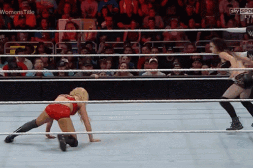 Hpw Paige GIF