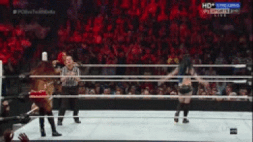 Hpw Paige GIF