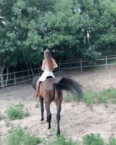 Hrs Scalopendra GIF. This 398 x 498 animated GIF is part of our stick figure horse collection. Created by Marimbas. View the original animation, share it…