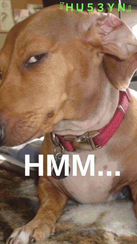 Hu53yn Huseynyazar GIF