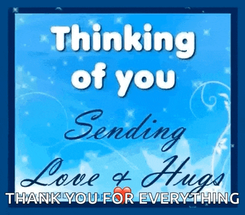 Hug Hugs GIF
