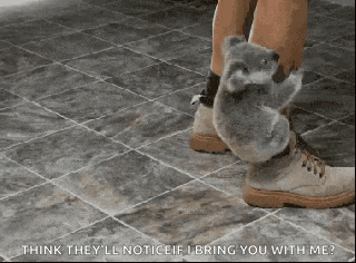 Hug Koala GIF