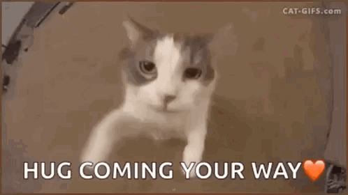 Hug Love GIF