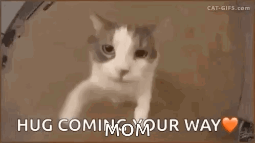 Hug Love GIF