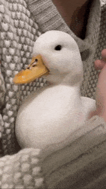 Hug Me GIF