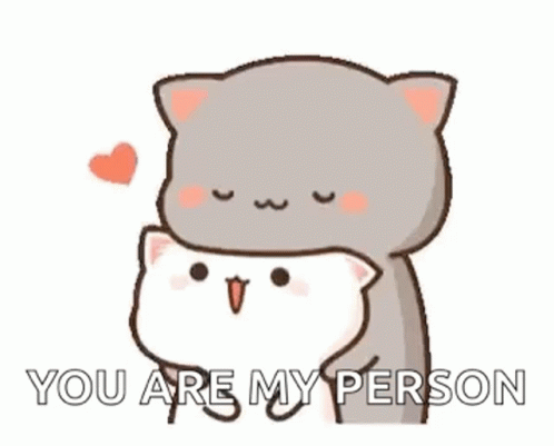 Hug Peachcat GIF