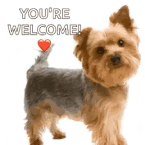 Hug Virtual GIF