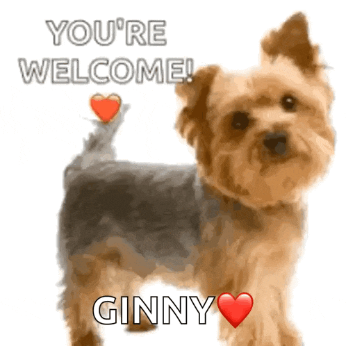 Hug Virtual GIF