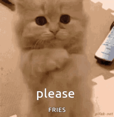 Hug GIF. This 488 x 498 animated GIF is part of our lustige freitags bilder collection. Created by OJd21. View the original animation, share it, or browse…
