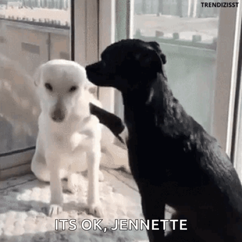 Huge Hug Bromance GIF