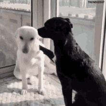 Hugs Big Hugs GIF