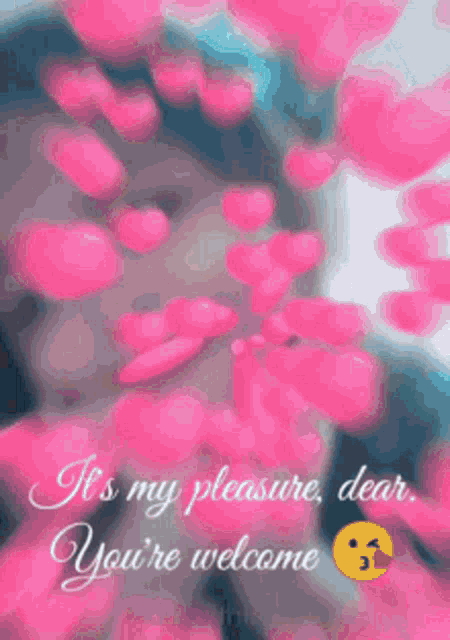 Hugsy Wugsy GIF