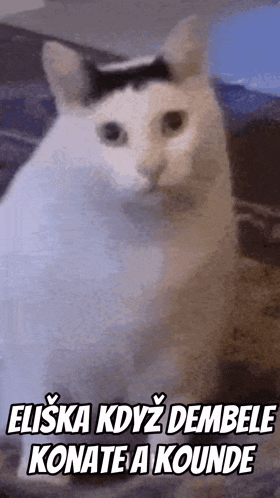 Huh GIF