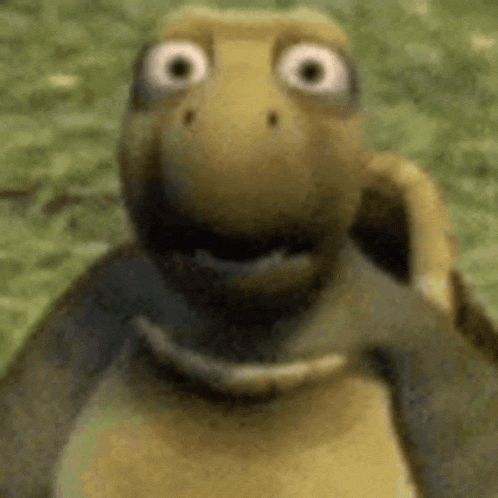 Huh Shocked Turtle GIF