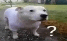 Huhdog Jamas Meme