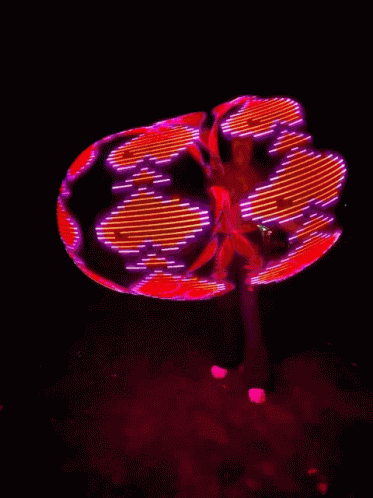 Hula Hoop Burning Man GIF