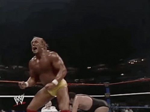 Hulk Hogan Wwe GIF