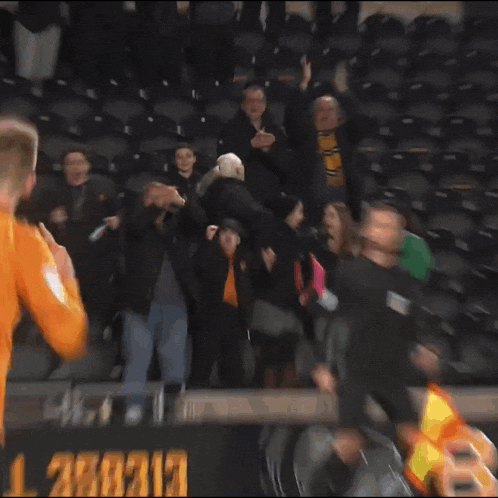 Hull City Hcafc GIF