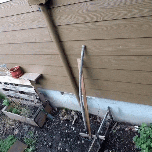 Hummingbird Camera GIF
